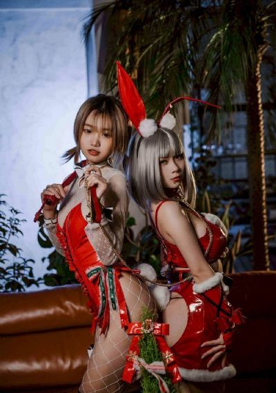 细狗视频vip