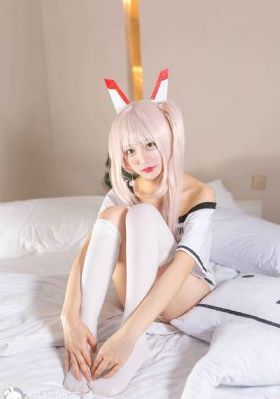 珠帘玉幕在线免费观看