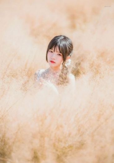 霹雳囧花